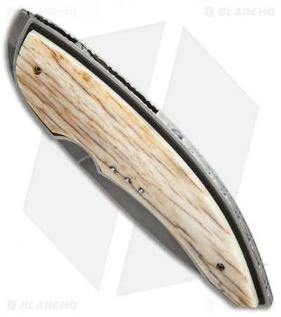 Corrie Schoeman Panerai Flipper Knife Giraffe Bone (3.25" Hamon) 2 Corrie Schoeman Panerai Flipper Knife Giraffe Bone (3.25" Hamon) - Image 2